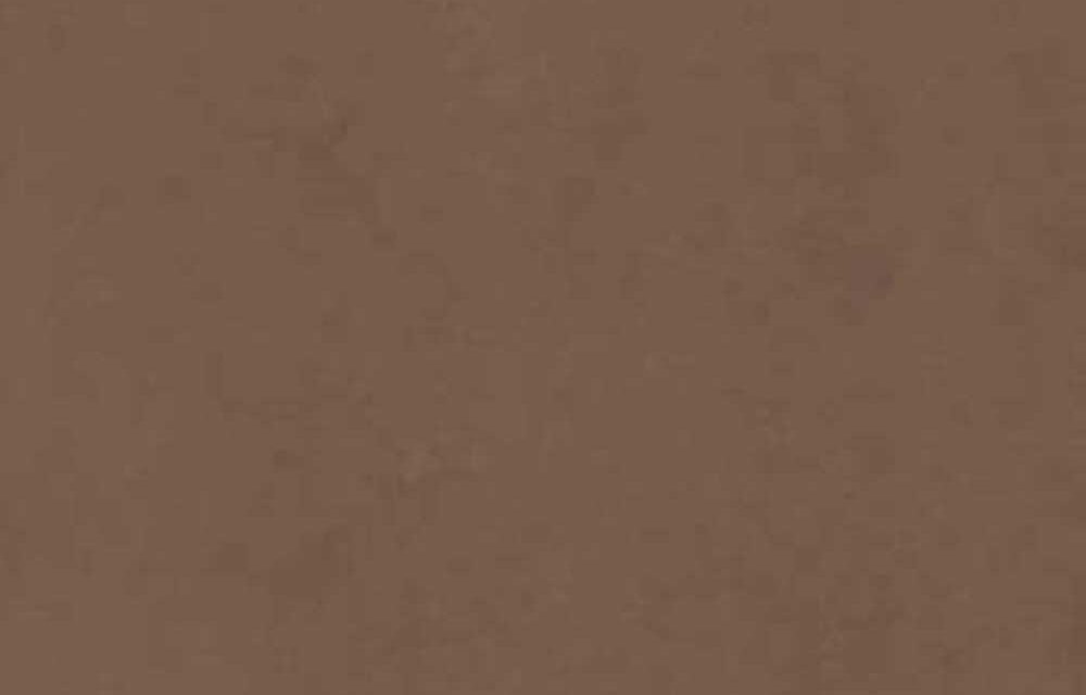 fog-bronce