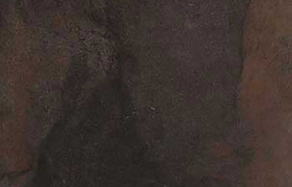 Vulcano Bronce 600 x 600 mm polish tile — WA Kajaria Ceramics