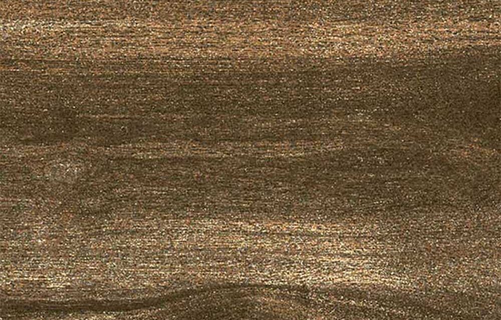 assam-walnut