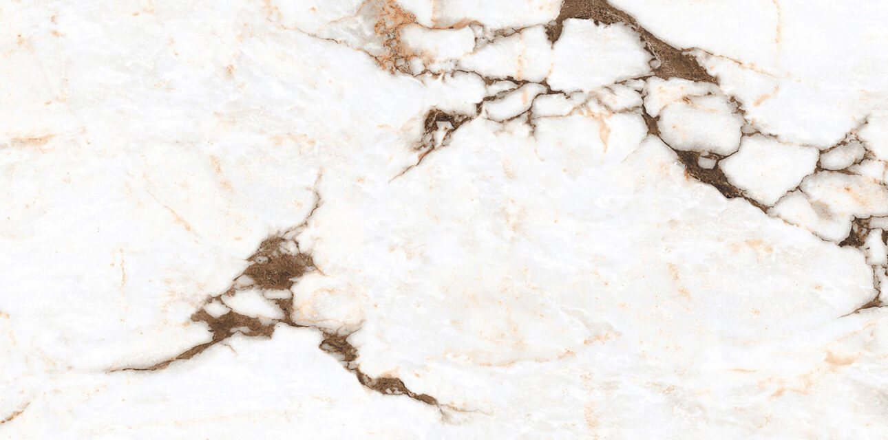 oyster-white