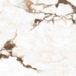 oyster-white