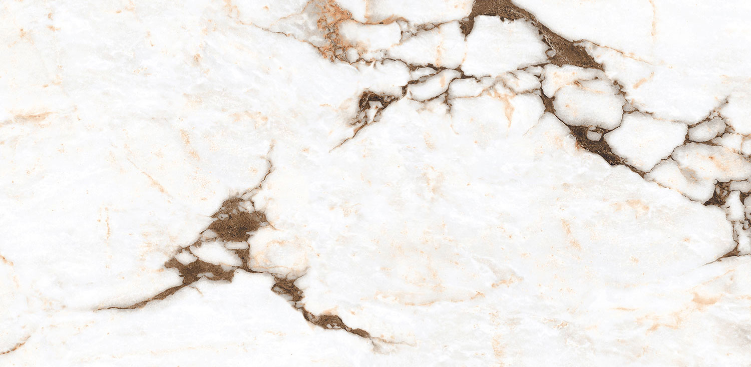 oyster-white