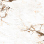 oyster-white