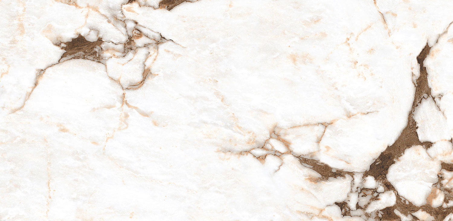 oyster-white