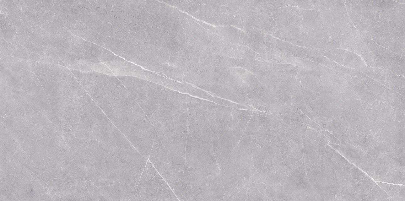 pavit-grey