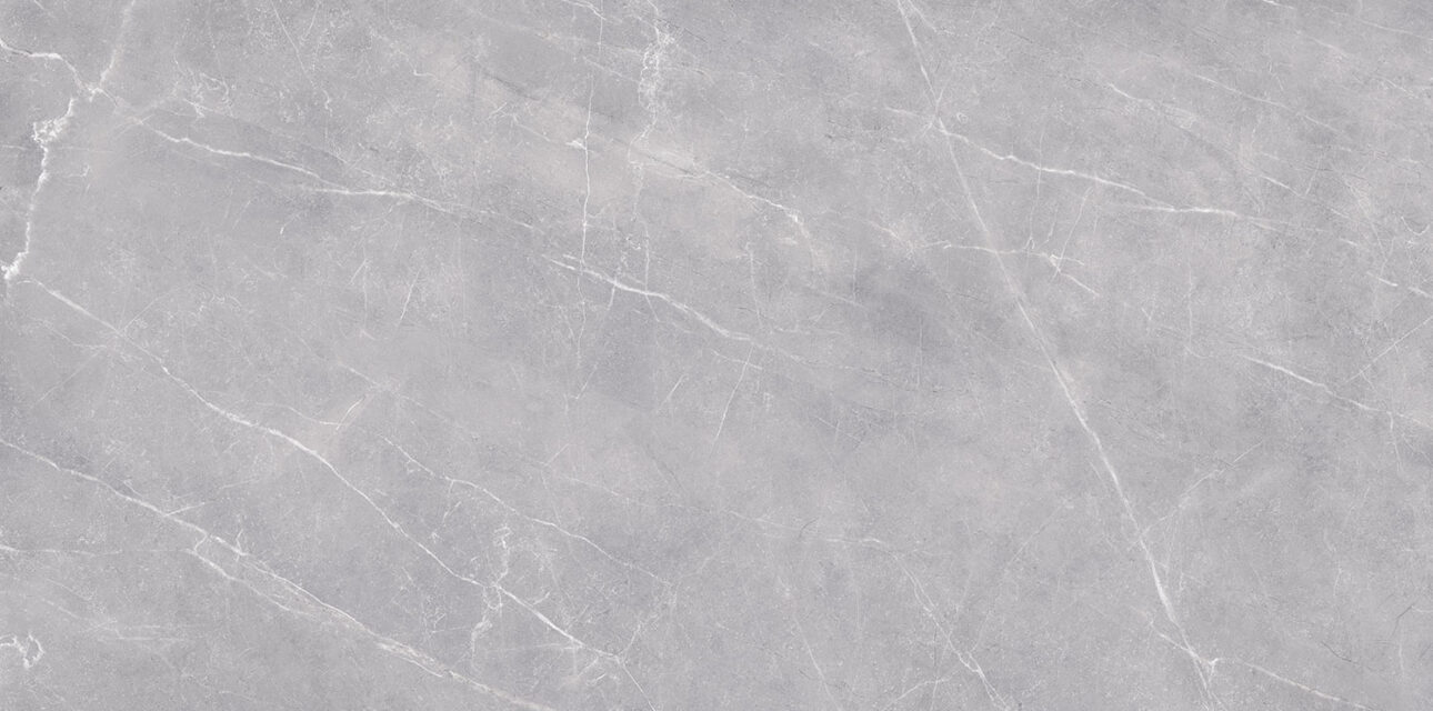 pavit-grey-beyond