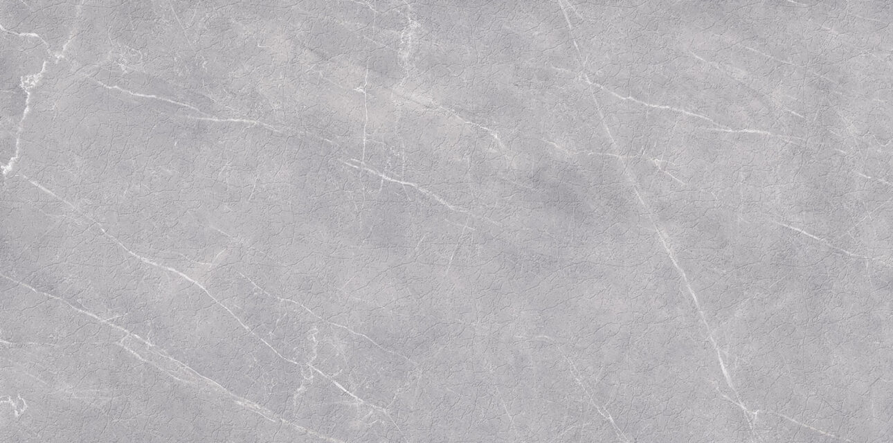 pavit-grey-bold