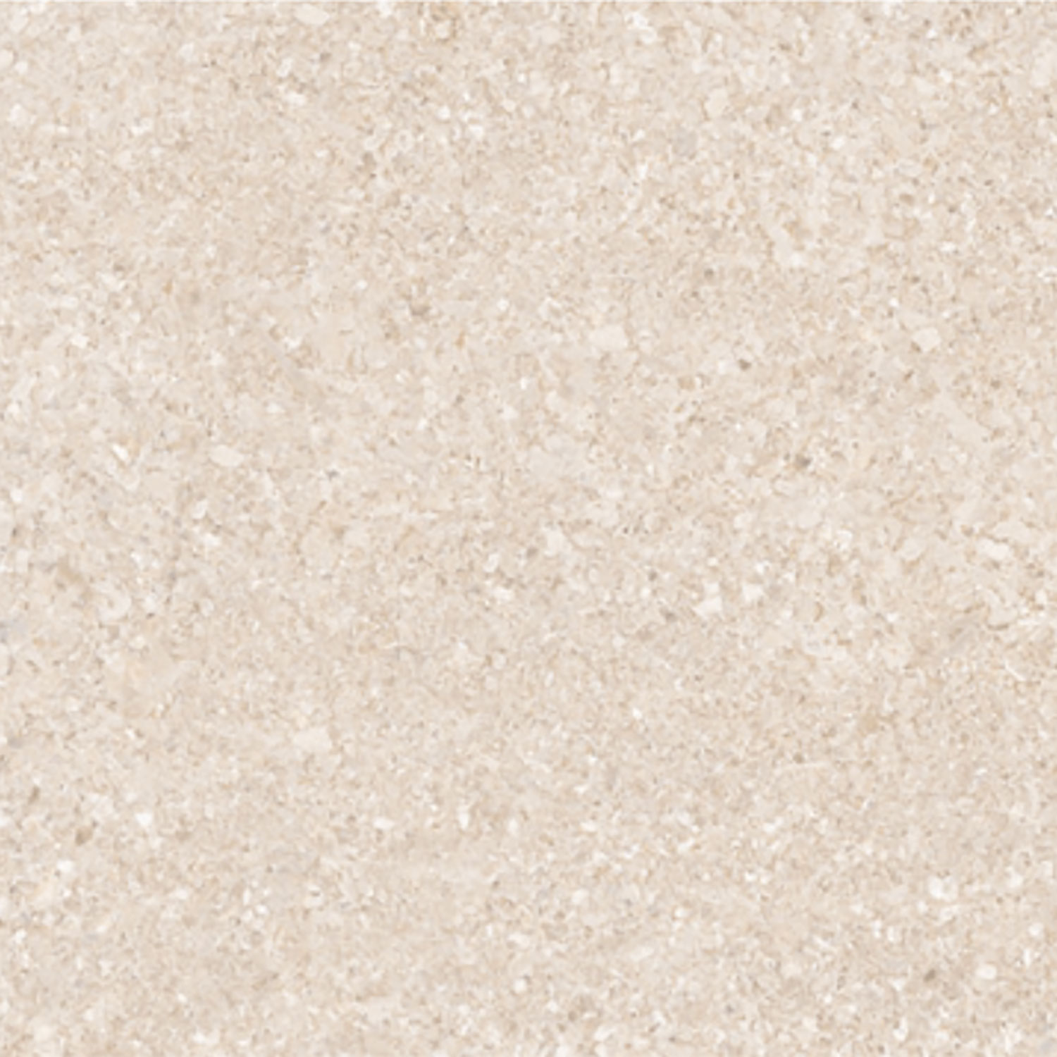 Antaris Beige 600 x 600 mm polish tile — WA Kajaria Ceramics