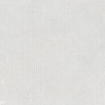 nova-marfil